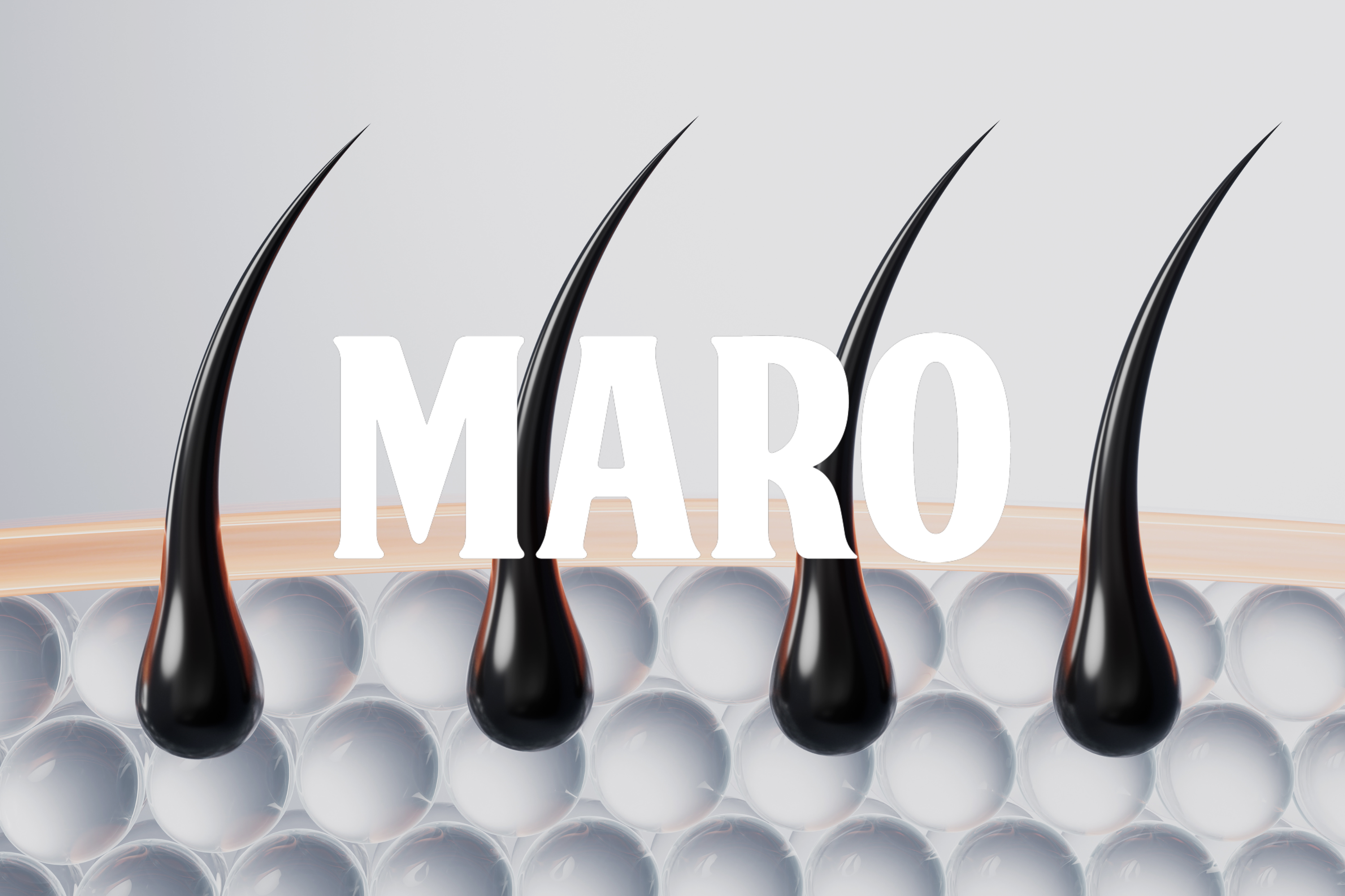 Scalp Health & The Scalp Microbiome